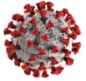 Заболеваемость коронавирусом в Ленобласти выросла на 25% за неделю